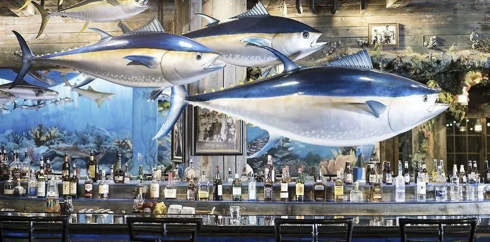 Big Cypress Lodge Memphis