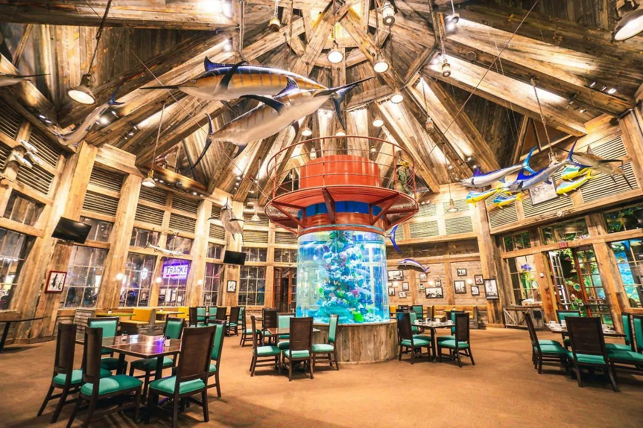 Big Cypress Lodge Memphis